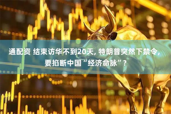 通配资 结束访华不到20天, 特朗普突然下禁令, 要掐断中国“经济命脉”?